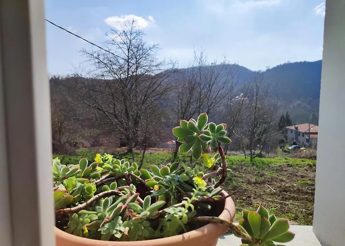 Casa Dei Giuggioli Vakantiehuis *
