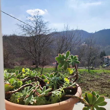 Casa Dei Giuggioli Vakantiehuis *
